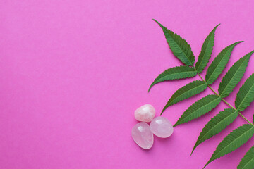 Beautiful round rose quartz stones with green leaves on a pink background. Healing crystals. Copy space, flat lay, top view.