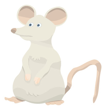 Cute mouse rodent animal cartoon illustration