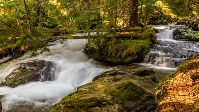 Panther Creek Falls in the Wind River Valley in Skamania County, Washington