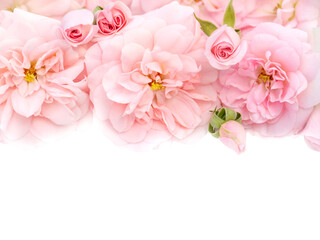 Fototapeta na wymiar Delicate pink roses bouquet isolated transparent png