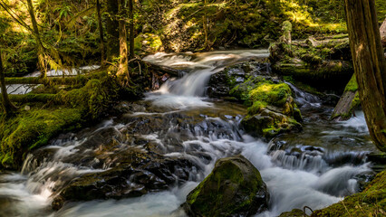 Fototapeta na wymiar Panther Creek Falls in the Wind River Valley in Skamania County, Washington