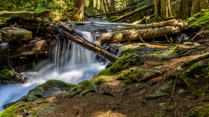 Obraz premium Panther Creek Falls in the Wind River Valley in Skamania County, Washington