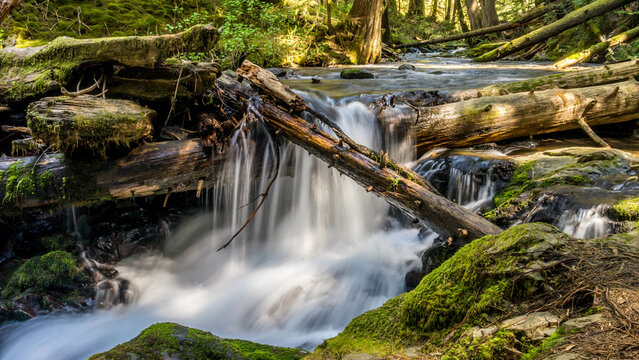 Panther Creek Falls in the Wind River Valley in Skamania County, Washington