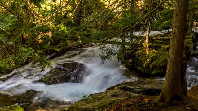 Panther Creek Falls in the Wind River Valley in Skamania County, Washington