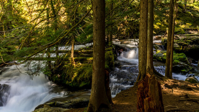 Panther Creek Falls in the Wind River Valley in Skamania County, Washington
