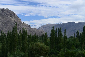 Historical Khapocho fort seen from Skardu City with a beautiful view of Karakoram mountains and forest of valley. 