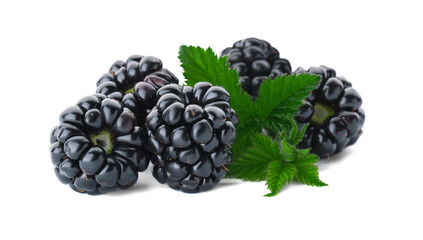 Tasty ripe blackberries and leaves on white background