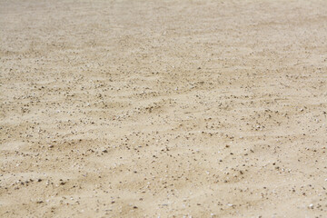 Texture of dry sandy beach as background