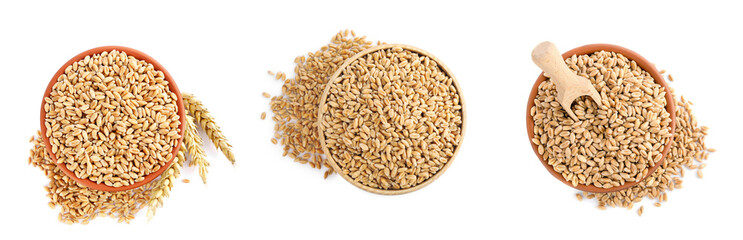 Set with bowls of wheat grains on white background, top view. Banner design