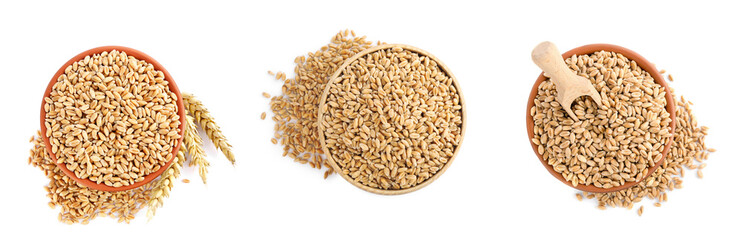 Set with bowls of wheat grains on white background, top view. Banner design