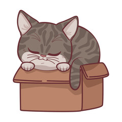 cute cat in box anime style
