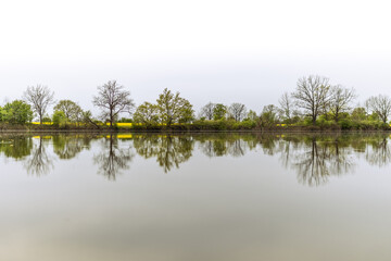 reflection of trees in the water
