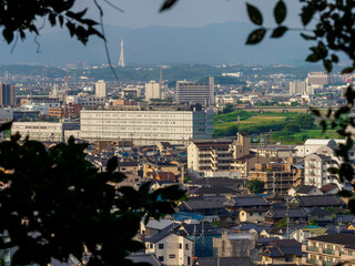 高台から見る市街地の風景