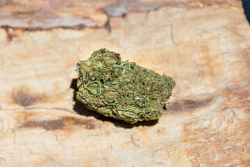 Big business raw CBD bud from cannabis plant for manufacturing organic medicinal healing oil, gummies, salve, oinment, edibles and more