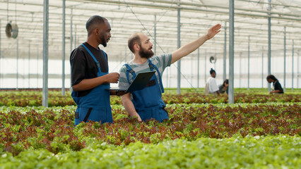 Diverse organic lettuce growers using laptop with agricultural management software to plan...