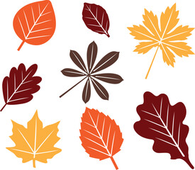 Vector Fall Leaves