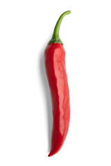 Gochujang King, a type of Korean hot chili pepper, ripened to red isolated on a white background with clipping path