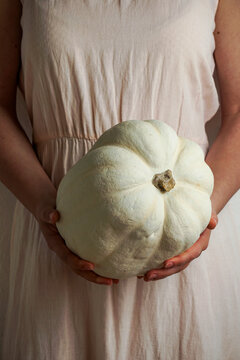 White pumpkin in the female hands, thanksgiving anв helloween concept
