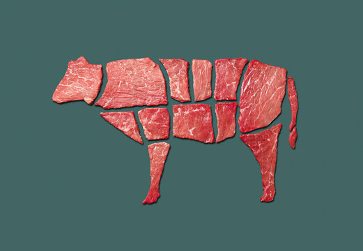 Concept marbled meat beef. Grass fed beef. Caw made up of beef pieces