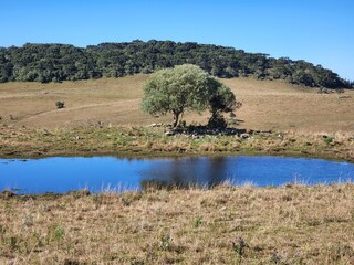 lago, água, frio, campo, pecuária