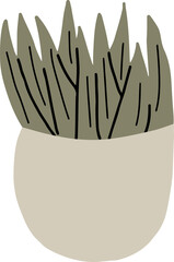 House plant in a pot