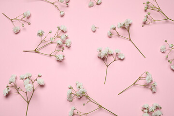 Beautiful floral composition with gypsophila flowers on pink background, flat lay
