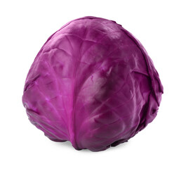 Fototapeta premium One fresh ripe red cabbage isolated on white