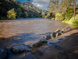 Flooded Yarra