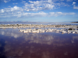Center of the Spiral Jetty