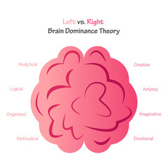 Left versus Right Brain Dominance Theory