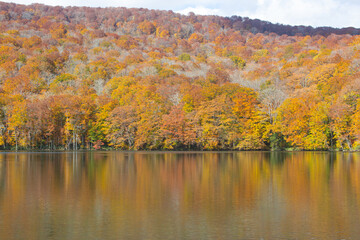 Autumn in the forest at Tsuta Onsen (Hotspring), Aomori, Japan