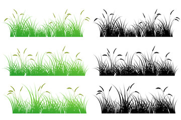reeds grass. reeds silhouette - obrazy, fototapety, plakaty