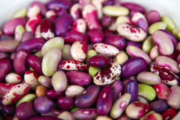 Defocus purple beans background. Background of many grains of dried beans. Brown beans texture....