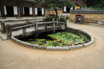 Obraz premium water lilies in the pond Tongdo-sa, Buddhist temple korea 