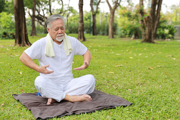 Asian senior man practice yoga excercise, tai chi tranining, stretching and meditation together while sitting for healthy in park outdoor after retirement. Happy elderly outdoor lifestyle concept