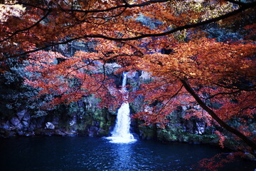 美しい秋の紅葉と滝のある風景