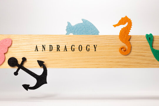 Andragogy inscribed on wood patterned surface. Education and child psychology