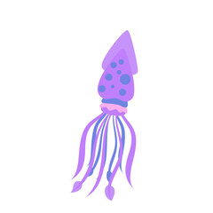 squid illustration