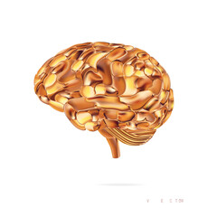 Gold brain isolated On White Background, vector. Mesh