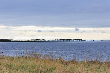 野付半島のナラワラ「秋の北海道」