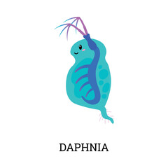 Daphnia underwater world tiny microorganism or animal, flat vector illustration.