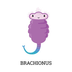 Brachionus purple cute cartoon character flat style, vector illustration