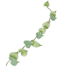 Green leaf watercolor illustration.