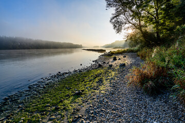 norning at the danube river in enns, upper austria