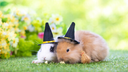 Cute Halloween rabbit in witch hat and broom on decorative background. Festive bunny  © unikyluckk