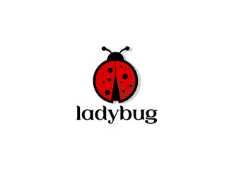 Ladybug logo on white background. Ladybug logo design template.