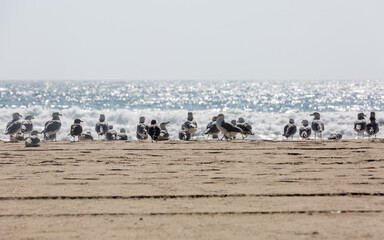 front row seat to the pacific ocean