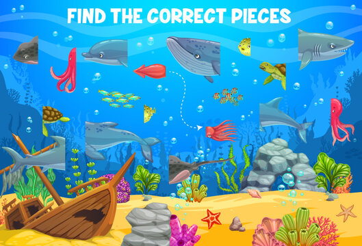 Underwater landscape. Find the correct pieces of sea animals and fish on ocean bottom vector kids game. Puzzle quiz worksheet with cartoon whale, shark and dolphin, sea turtle, octopus, squid, puffer
