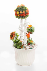 Colourful Topiary flower arrangement for interior decoration 