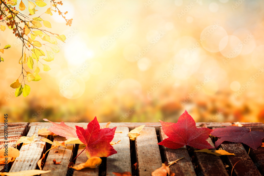 Canvas Prints Wooden table with autumn leaves background, Multicolored leafs in sunny fall afternoon 